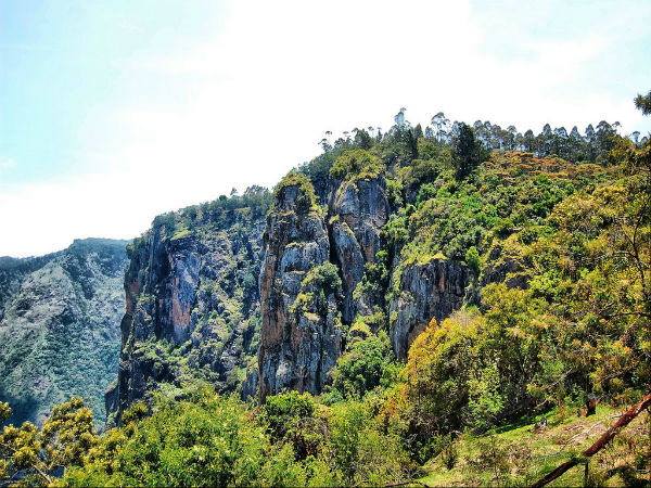 ಡೆವಿಲ್ಸ್ ಕಿಚನ್