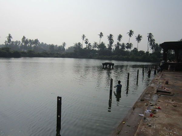 ಇತರ ಆಕರ್ಷಣೆಗಳು