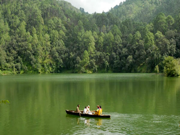 ಬಟರ್ಫ್ಲೈ ವಸ್ತುಸಂಗ್ರಹಾಲಯ