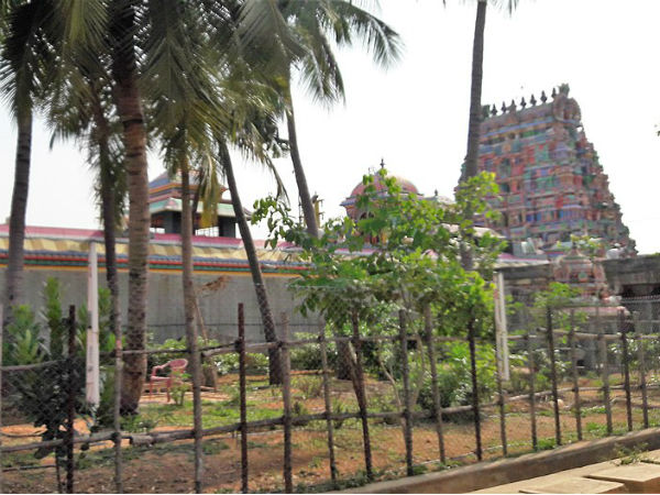 ದಂತ ಕಥೆಯ ಪ್ರಕಾರ