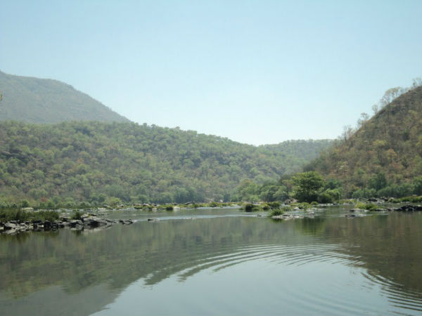 ಕಾವೇರಿ ವನ್ಯಜೀವಿ ಧಾಮ