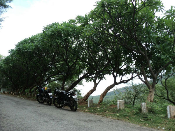 ಚಾರಣ ಕೈಗೊಳ್ಳಬಹುದು