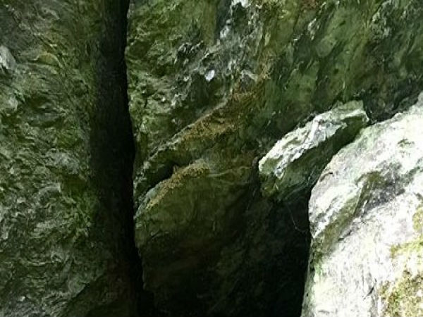 ಪರಿಸರ ಸ್ನೇಹಿ ಜೀವನದ ಪರಿಚಯ