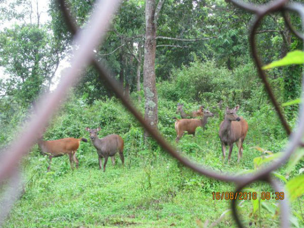 ಇತಿಹಾಸದ ಪ್ರಕಾರ