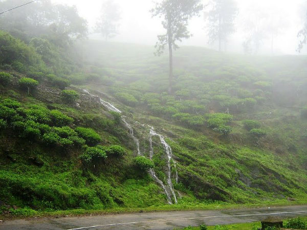 ಇನ್ನಿತರ ಆಕರ್ಷಣೆಗಳು