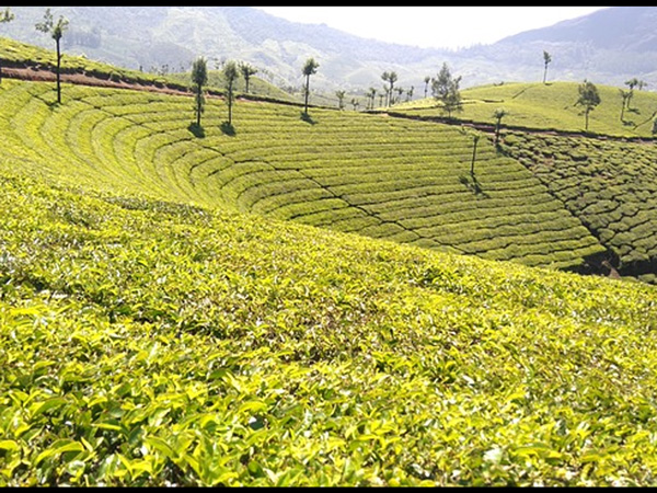 12 ನೇ ದಿನ