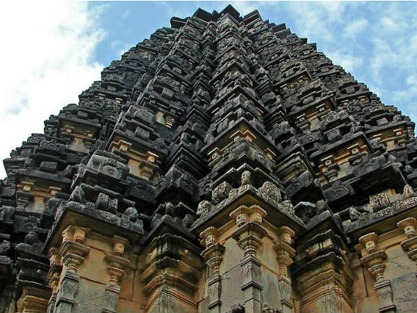 ಡಂಬಲ್ ಗೆ ಭೇಟಿ ನೀಡಲು ಉತ್ತಮ ಸಮಯ