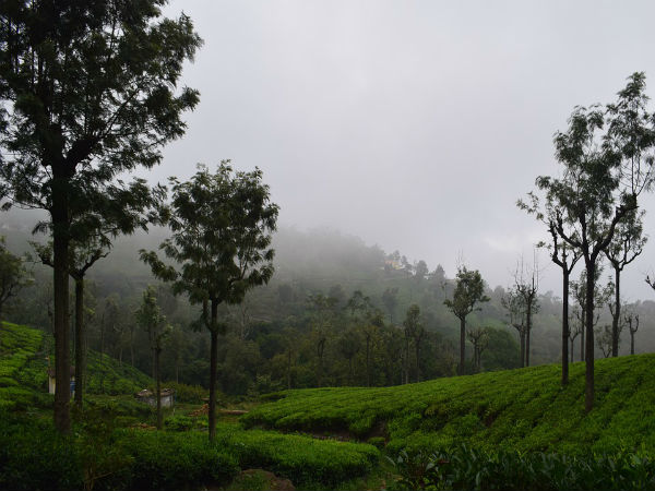 2. ಕೂನೂರ್