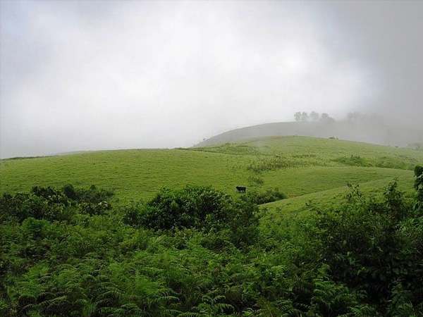 3. ವಾಗಮೊನ್