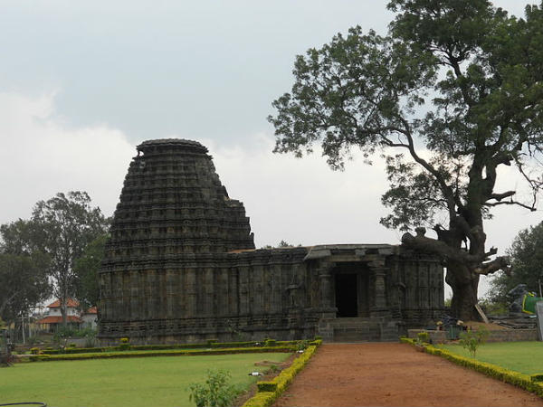 ಡಂಬಲ್ ಅಲ್ಲಿ ಮಾಡಬಹುದಾದ ಚಟುವಟಿಕೆಗಳು ಮತ್ತು ಆಸಕ್ತಿಯ ಸ್ಥಳಗಳು