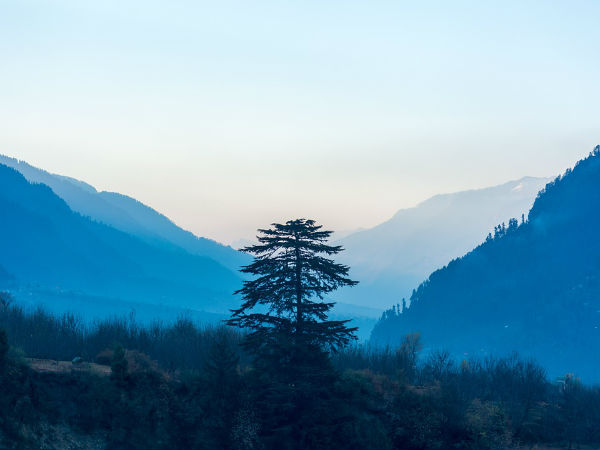 4. ಮನಾಲಿ