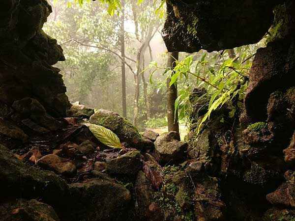 13) ಮೇಘಾಲಯ