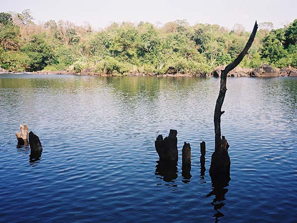 ದಾಂಡೇಲಿ