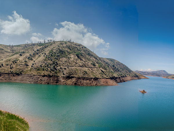 ಲಕ್ಕಿಡಿ