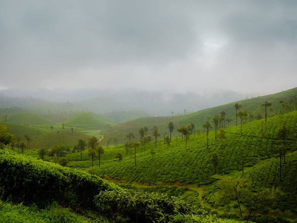 ವಾಲ್ಪಾರೈ, ತಮಿಳುನಾಡು