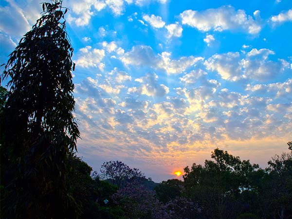 ಹಾರ್ಸ್ಲೆ ಹಿಲ್ಸ್