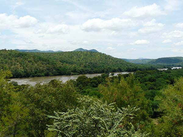 ಭೀಮೇಶ್ವರಿ
