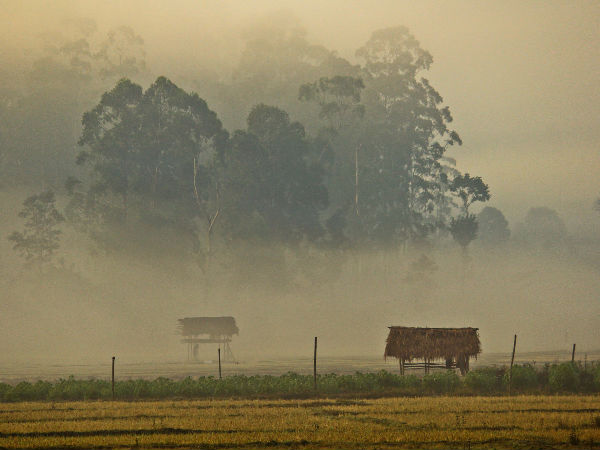 ಬಂಡೀಪುರ ರಾಷ್ಟ್ರೀಯ ಉದ್ಯಾನ