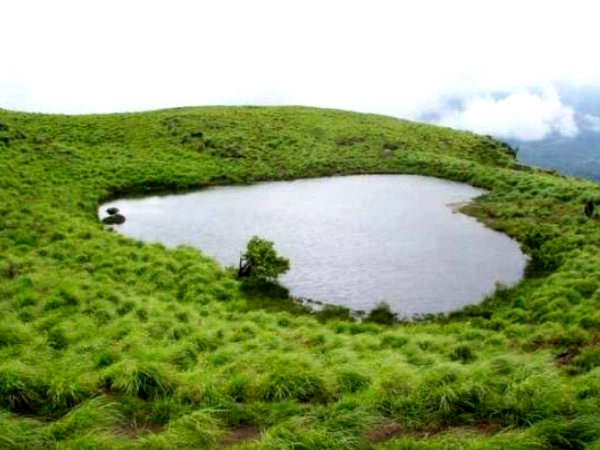 8. ವಯನಾಡ್