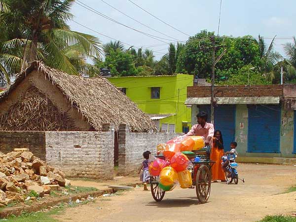 ಪೋಥನಿಕ್ಕಾಡ್, ಕೇರಳ