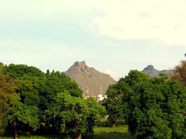 2) ವೆಲ್ಲೂರು