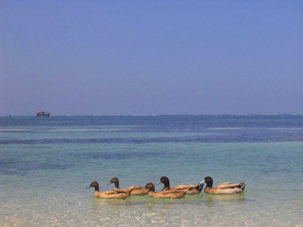 5. ಕಡ್ಮತ್ ದ್ವೀಪ