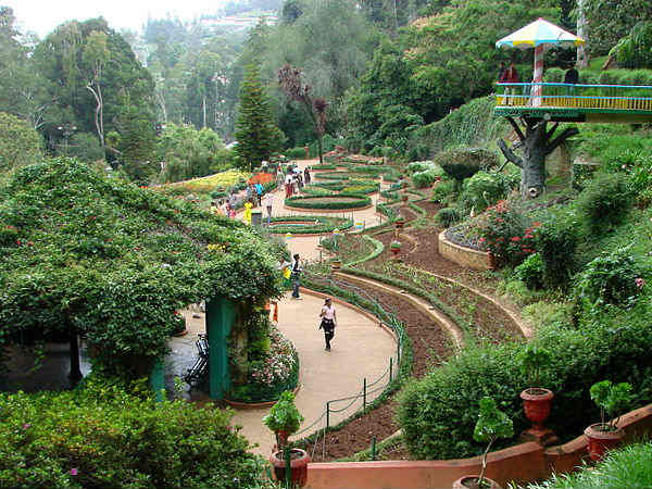 1. ಊಟಿ, ತಮಿಳುನಾಡು