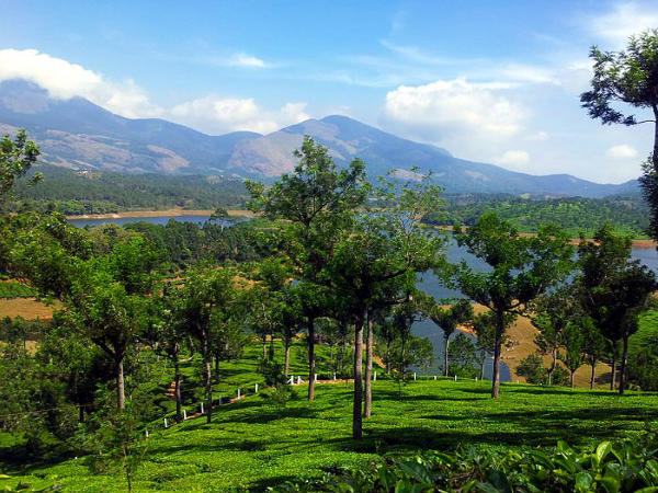 2. ಮುನ್ನಾರ್, ಕೇರಳ