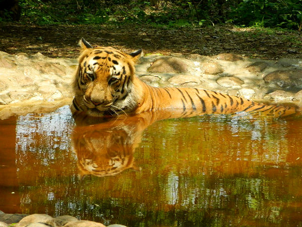 bannerghatta bannerghatta