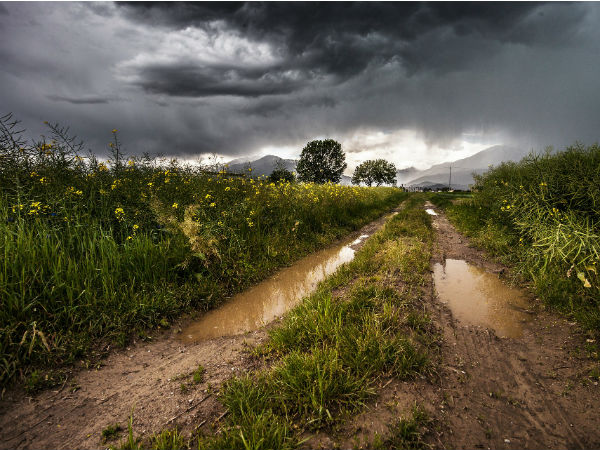 country-road-4 country-road-4
