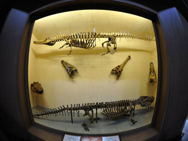 hospet museum hospet museum