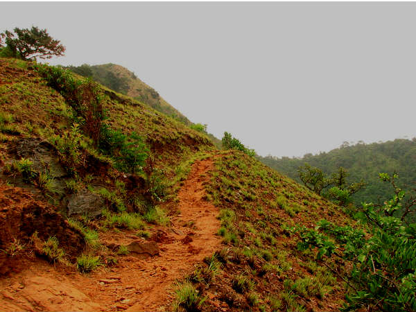 kodachadri-trekroutes-1-1656237438.jpg -Properties kodachadri-trekroutes-1-1656237438.jpg -Properties