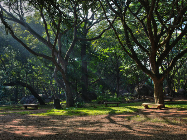 ಕಬ್ಬನ್ ಪಾರ್ಕ್