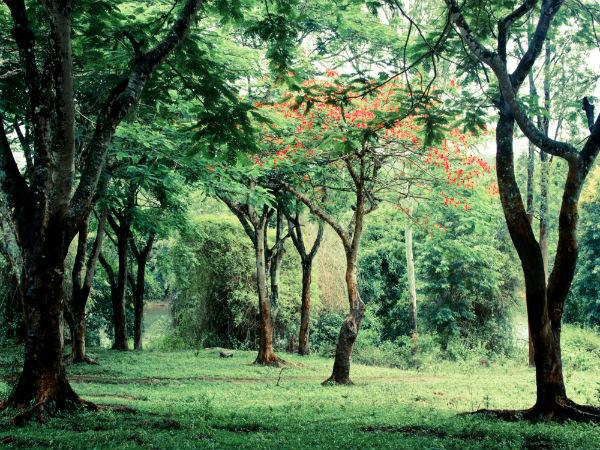 ಮಡಿಕೇರಿ