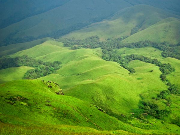 ಮಂಡಲ್ ಪಟ್ಟಿ