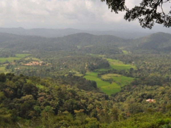 ರಾಜಾ'ಸ್ ಸೀಟ್
