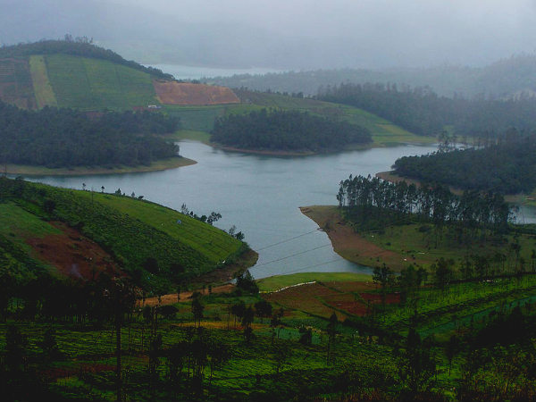 ನೀಲಗಿರಿ,ತಮಿಳುನಾಡು