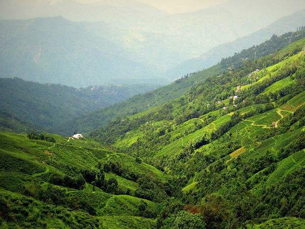 ಡಾರ್ಜಿಲಿಂಗ್
