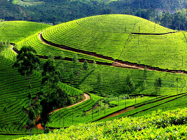 ಪೀರ್ಮೆಡೆ, ಕೇರಳ