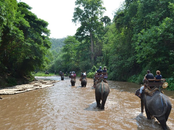 camp-elephants-2319080-1920-1660308097-1660626680.jpg camp-elephants-2319080-1920-1660308097-1660626680.jpg