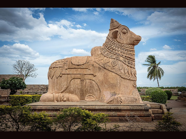 nandi4 nandi4