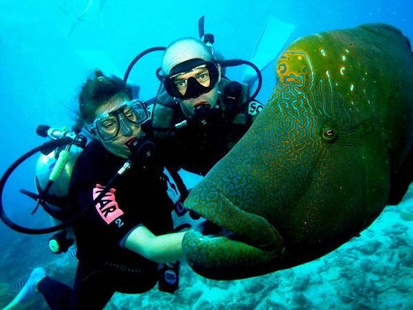 andaman andaman