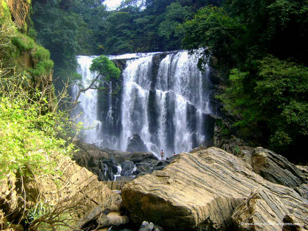 ಮಾಗೋಡ್