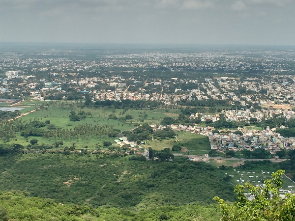 ಅಭಯಾರಣ್ಯದ ಒಳಗೆ ಏನಿದೆ?