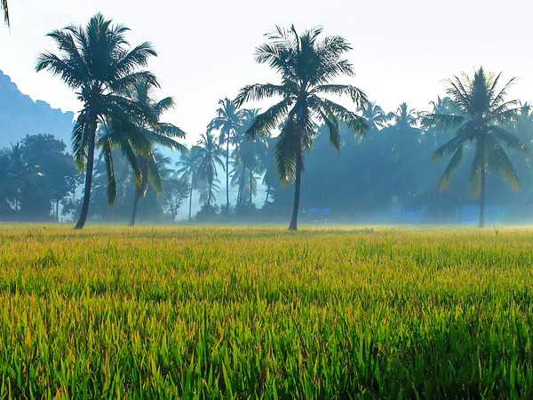 ಹಂಪಿ