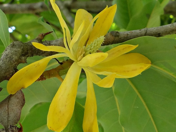 ಉಳಿಯಲು ಅತ್ಯುತ್ತಮ ವ್ಯವಸ್ಥೆಗಳಿವೆ