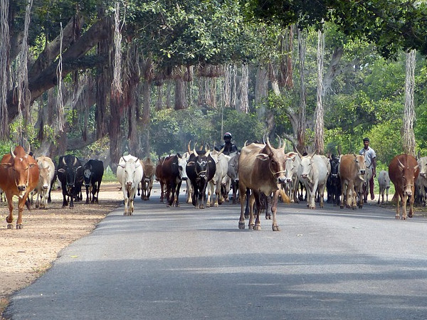 ಭೇಟಿ ನೀಡುವ ಸಮಯ