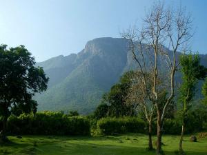 ನೀಲಗಿರಿ ಬೆಟ್ಟ ಶ್ರೇಣಿಯಲ್ಲಿರುವ ಕೋತಗಿರಿ ಬೆಟ್ಟ ಚಾರಣಕ್ಕೆ ಬೆಸ್ಟ್ 